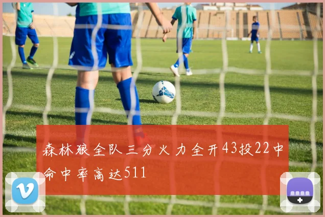 森林狼全队三分火力全开43投22中命中率高达511