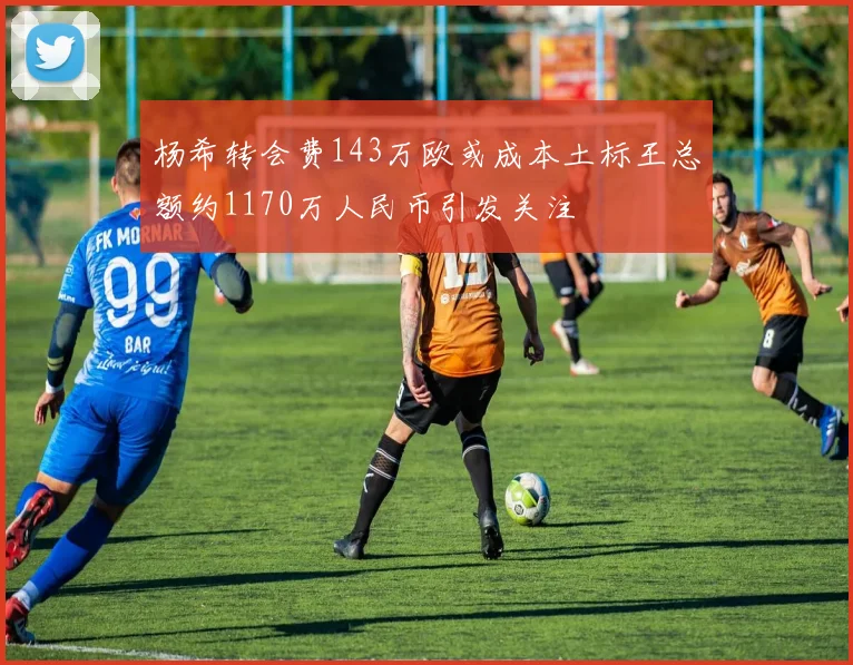 杨希转会费143万欧或成本土标王总额约1170万人民币引发关注